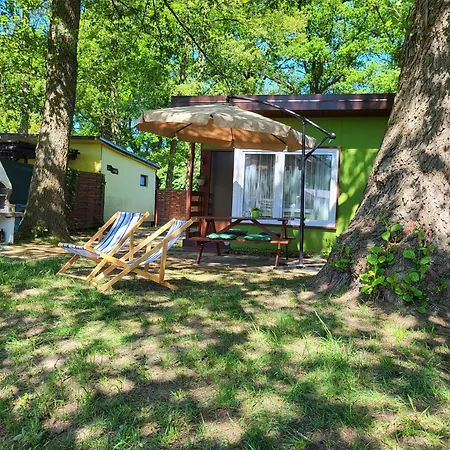 Szpak I Gil - Letniskowe W Dolinie Baryczy Milicz